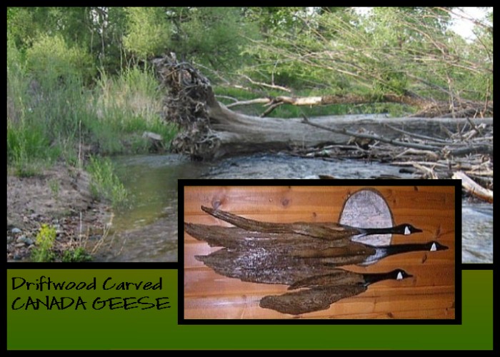 Wildlife Intentions: Canadian geese and moon